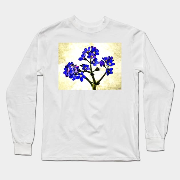 Forget Me Not Long Sleeve T-Shirt by danieljanda